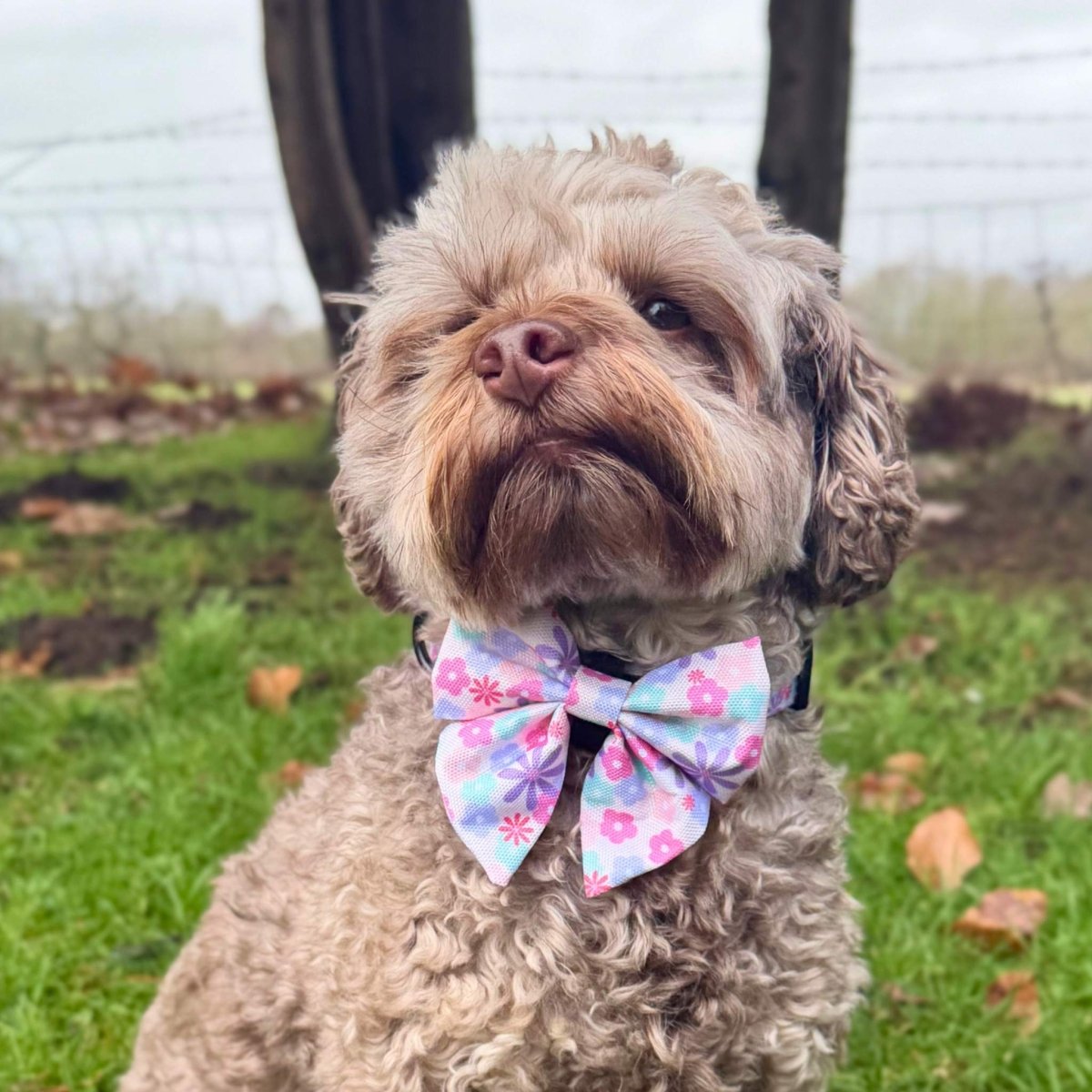 Dog Sailor Bow – Pretty Petals