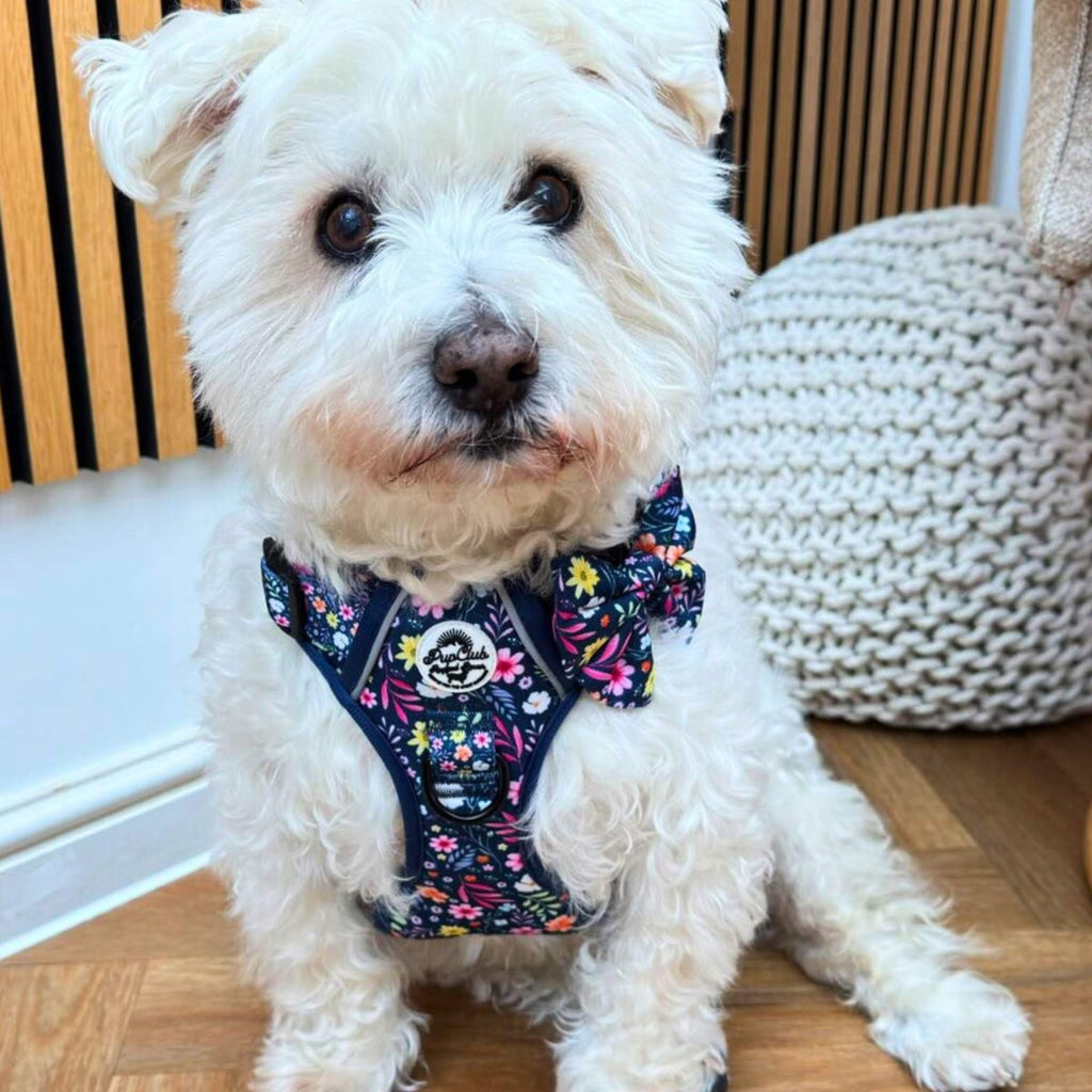 Dog Sailor Bow – Summer Meadow