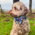 Dog Sailor Bow – Summer Meadow