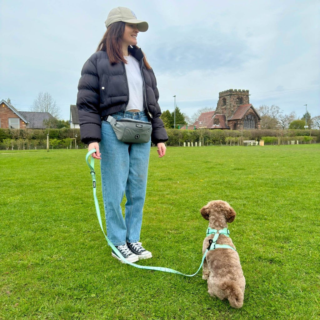 Dog Walking Bum Bag – Grey