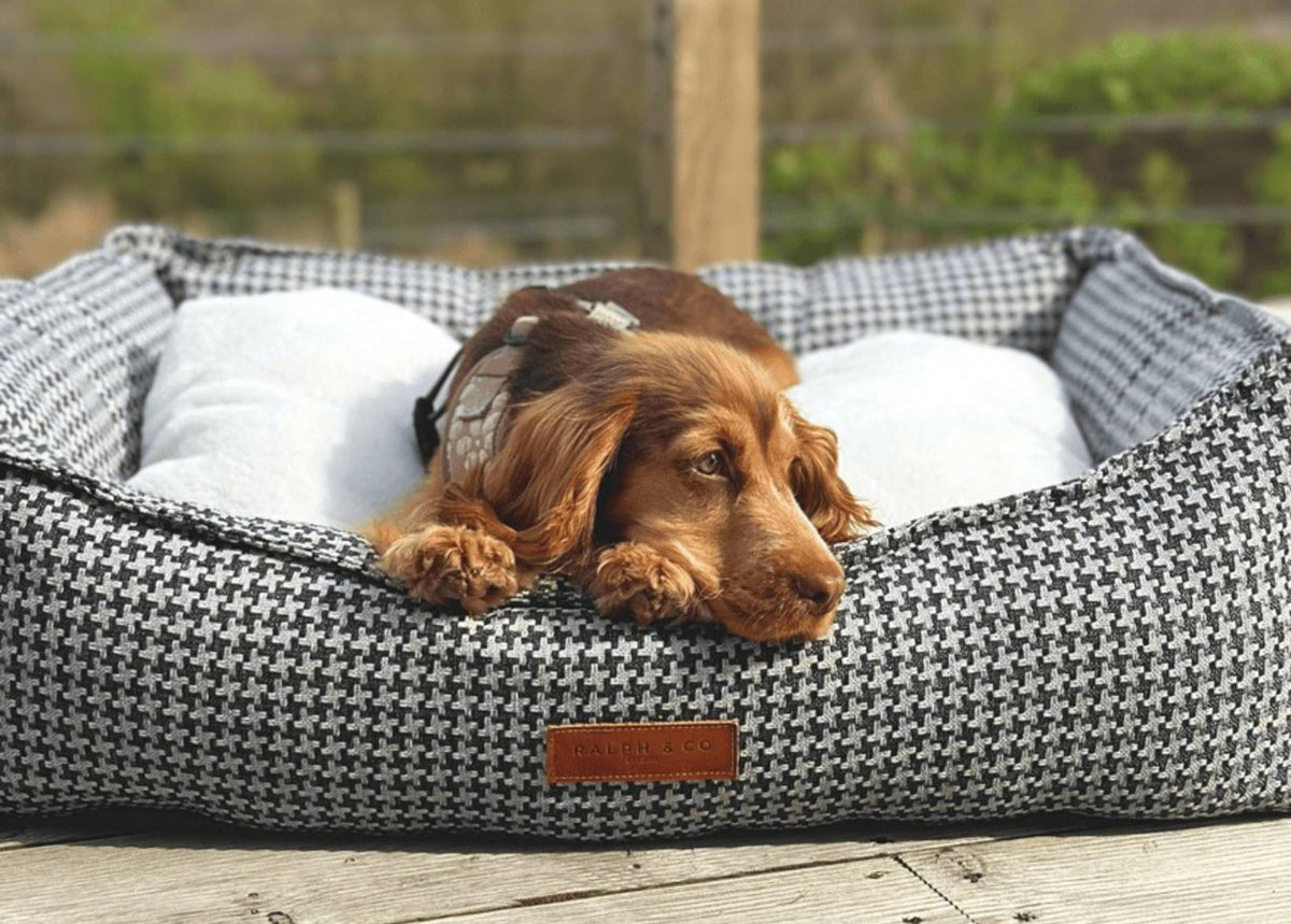 Ralph & Co Kensington Houndstooth Bolster Dog Bed