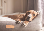 Ralph & Co Lincoln Tweed Bolster Dog Bed