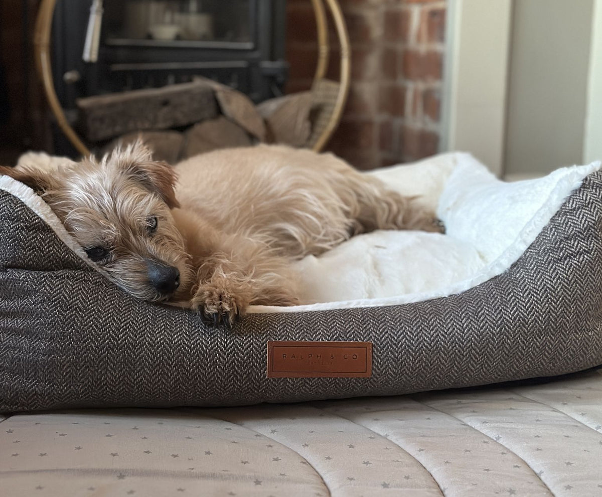 Ralph & Co Lincoln Tweed Bolster Dog Bed