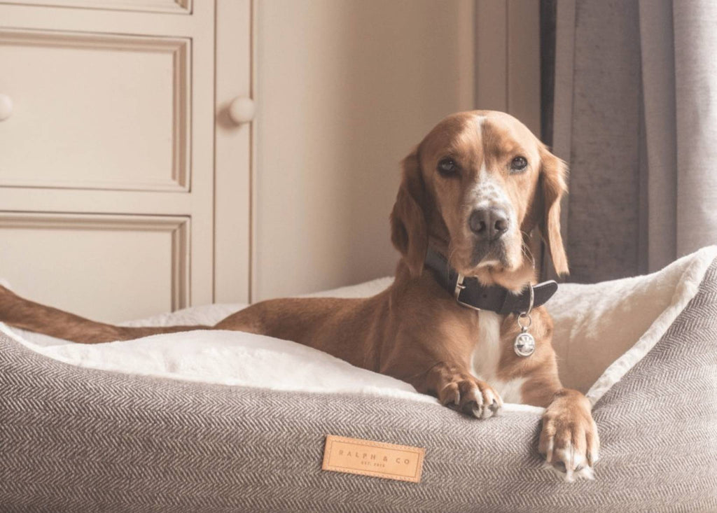 Ralph & Co Lincoln Tweed Bolster Dog Bed
