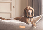 Ralph & Co Lincoln Tweed Bolster Dog Bed