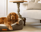 Ralph & Co Lincoln Tweed Bolster Dog Bed