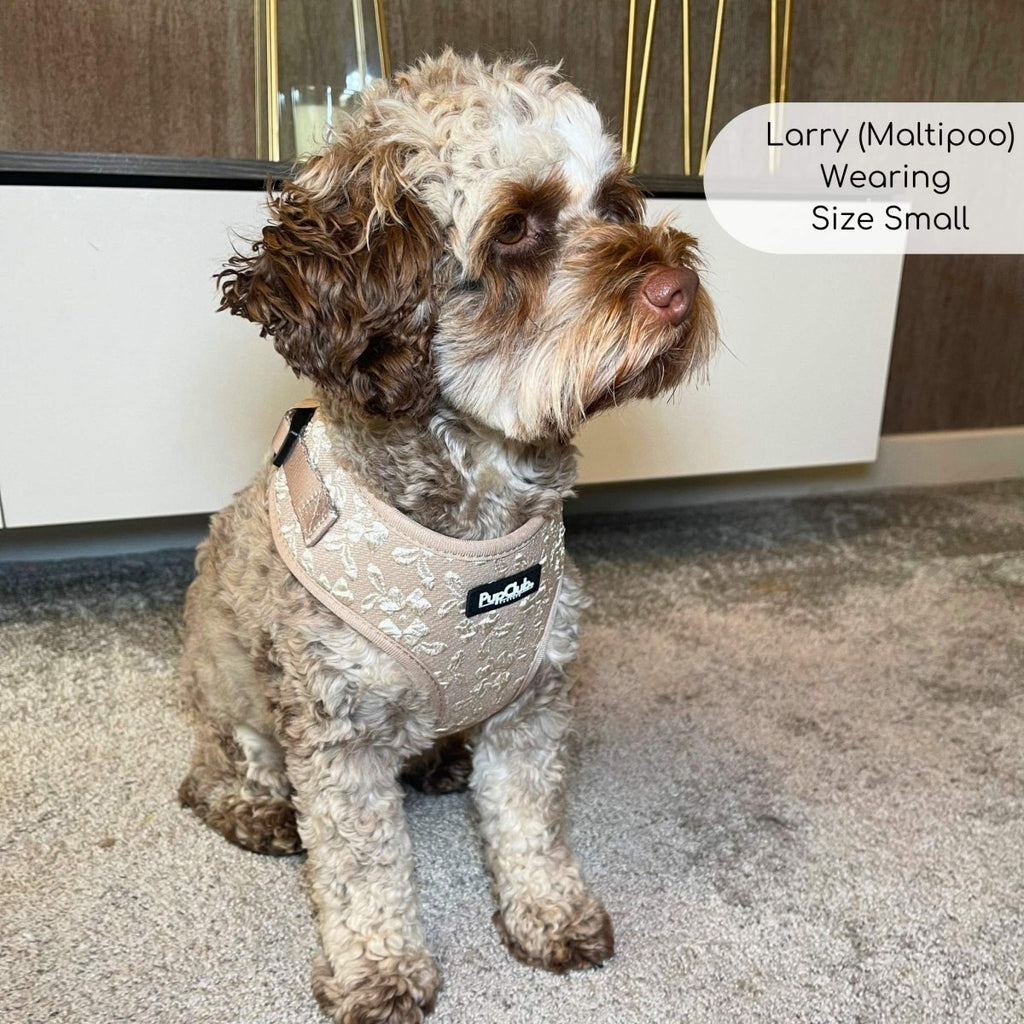 PupClub Luxe Adjustable Dog Harness – Toffee Latte Petals