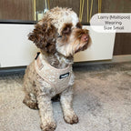 PupClub Luxe Adjustable Dog Harness – Toffee Latte Petals