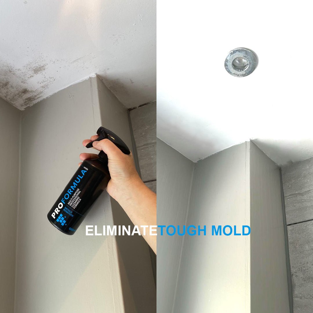 Proformula Mould Remover Gel Spray