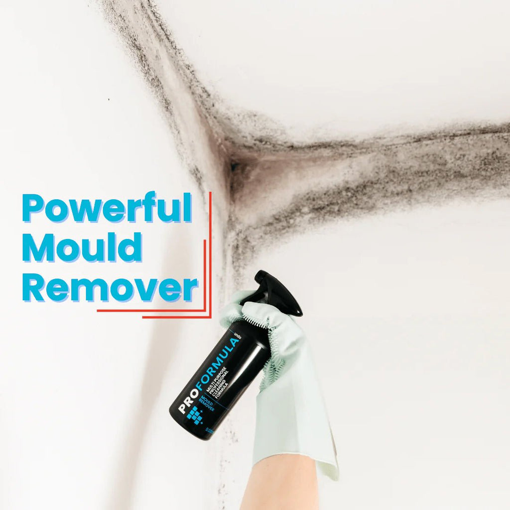 Proformula Mould Remover Gel Spray