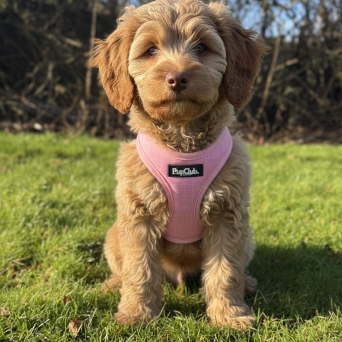 Puppy Step-In Harness – Pink