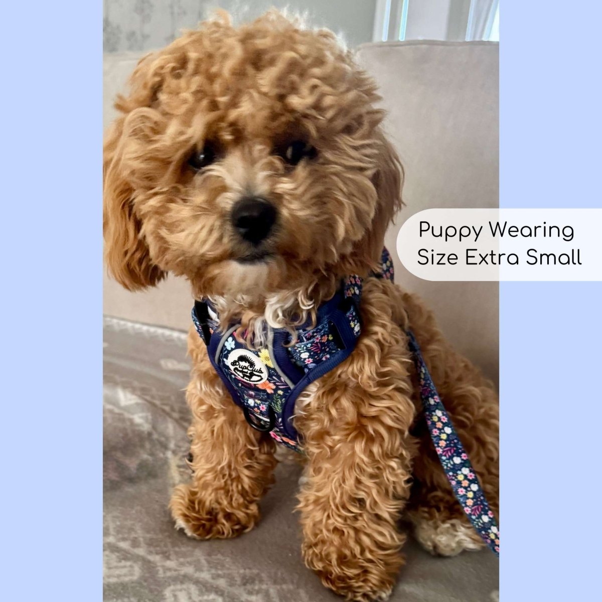 Rugged Rover™ No-Pull Dog Harness – Summer Meadow