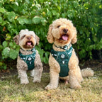 Rugged Rover™ No-Pull Dog Harness – Forest Green