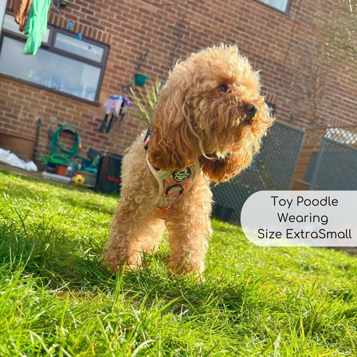 Rugged Rover™ No-Pull Dog Harness – Autumn Breeze