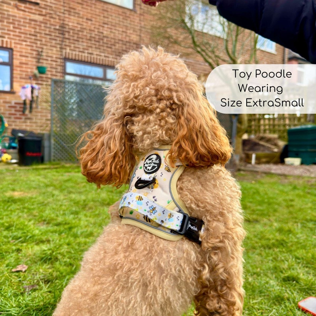 Rugged Rover™ No-Pull Dog Harness – Bee-utiful Summer