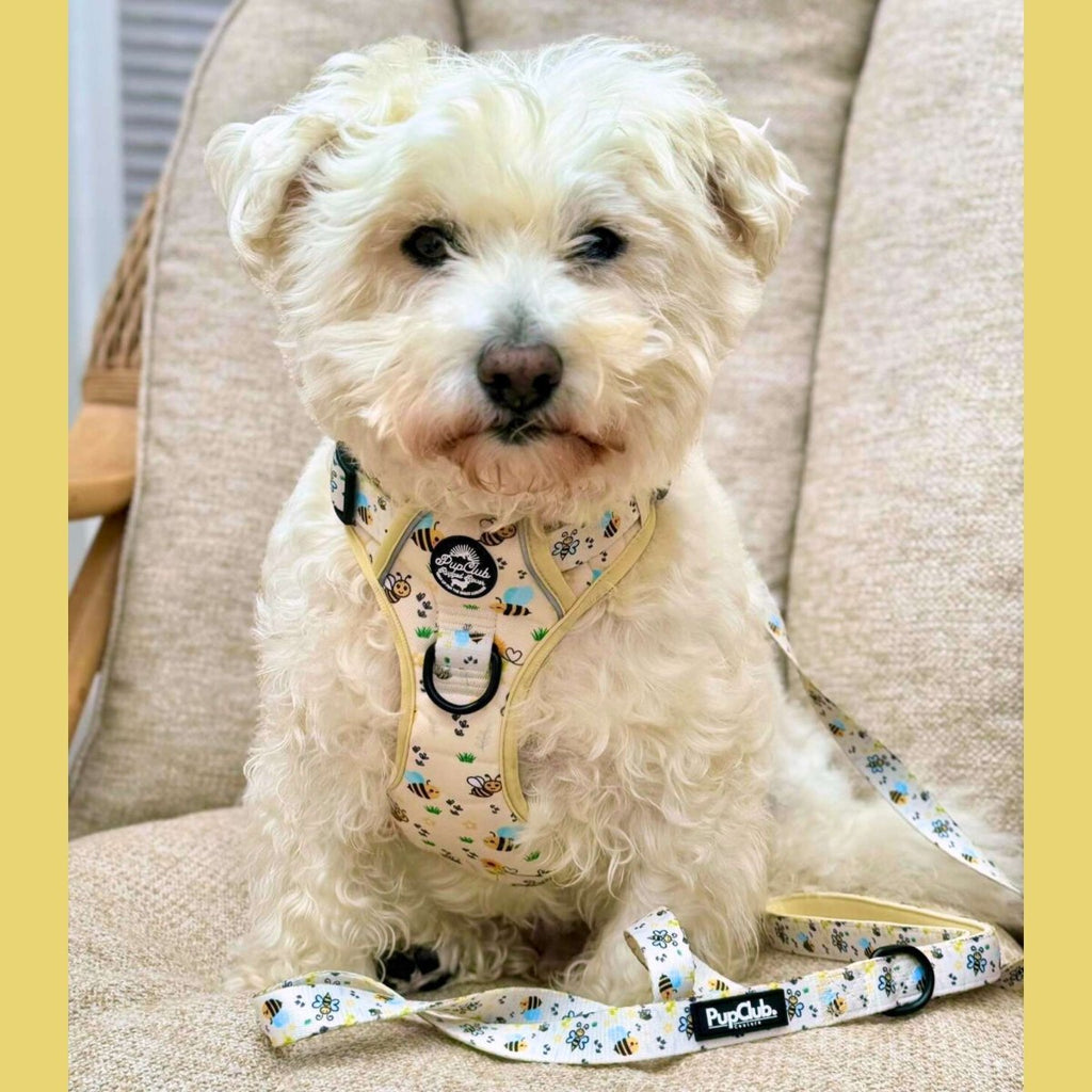 Rugged Rover™ No-Pull Dog Harness – Bee-utiful Summer