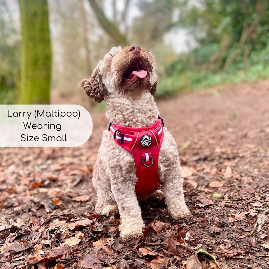Rugged Rover™ No-Pull Dog Harness – Berry Red