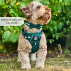 PupClub Dog Bow Tie – Forest Green