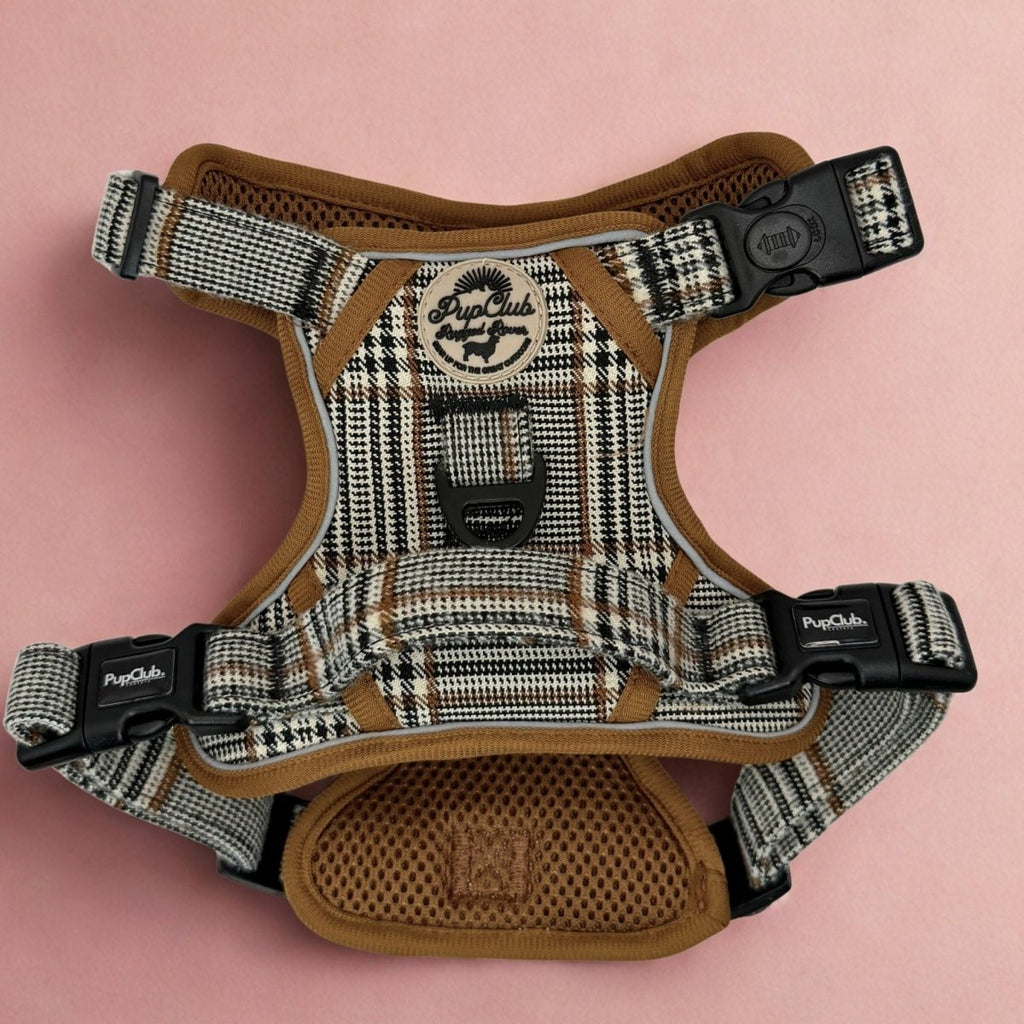 Rugged Rover™ No-Pull Dog Harness – Foxbury Plaid