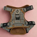 Rugged Rover™ No-Pull Dog Harness – Foxbury Plaid