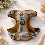Rugged Rover™ No-Pull Dog Harness – Foxbury Plaid