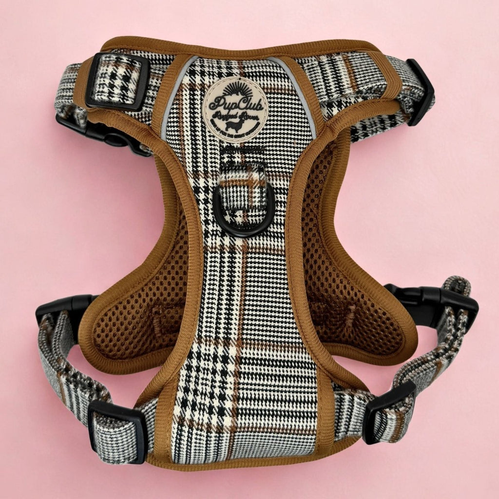 Rugged Rover™ No-Pull Dog Harness – Foxbury Plaid