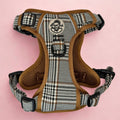 Rugged Rover™ No-Pull Dog Harness – Foxbury Plaid