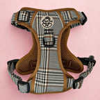 Rugged Rover™ No-Pull Dog Harness – Foxbury Plaid