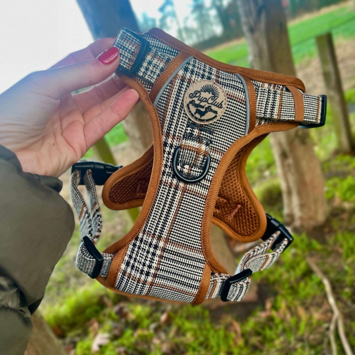 Rugged Rover™ No-Pull Dog Harness – Foxbury Plaid