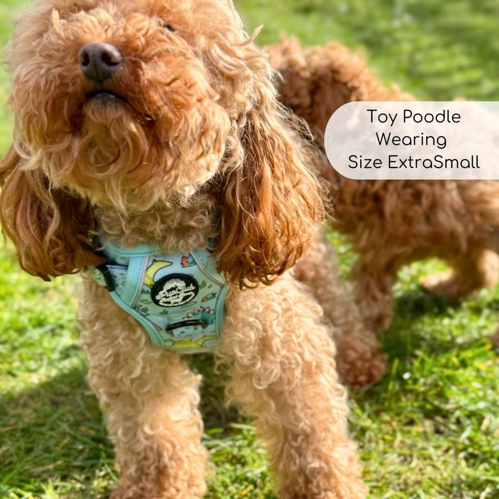 Rugged Rover™ No-Pull Dog Harness – Jurassic Party