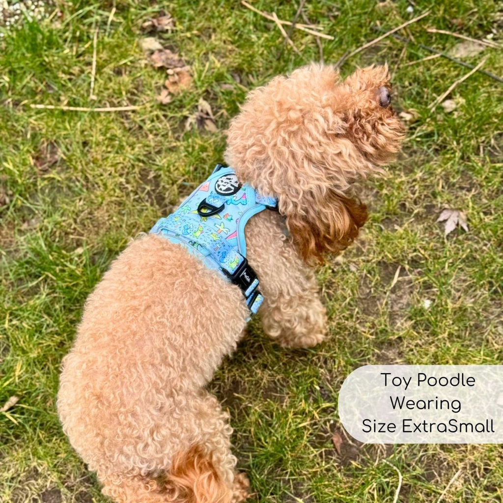 Rugged Rover™ No-Pull Dog Harness – Jurassic Party
