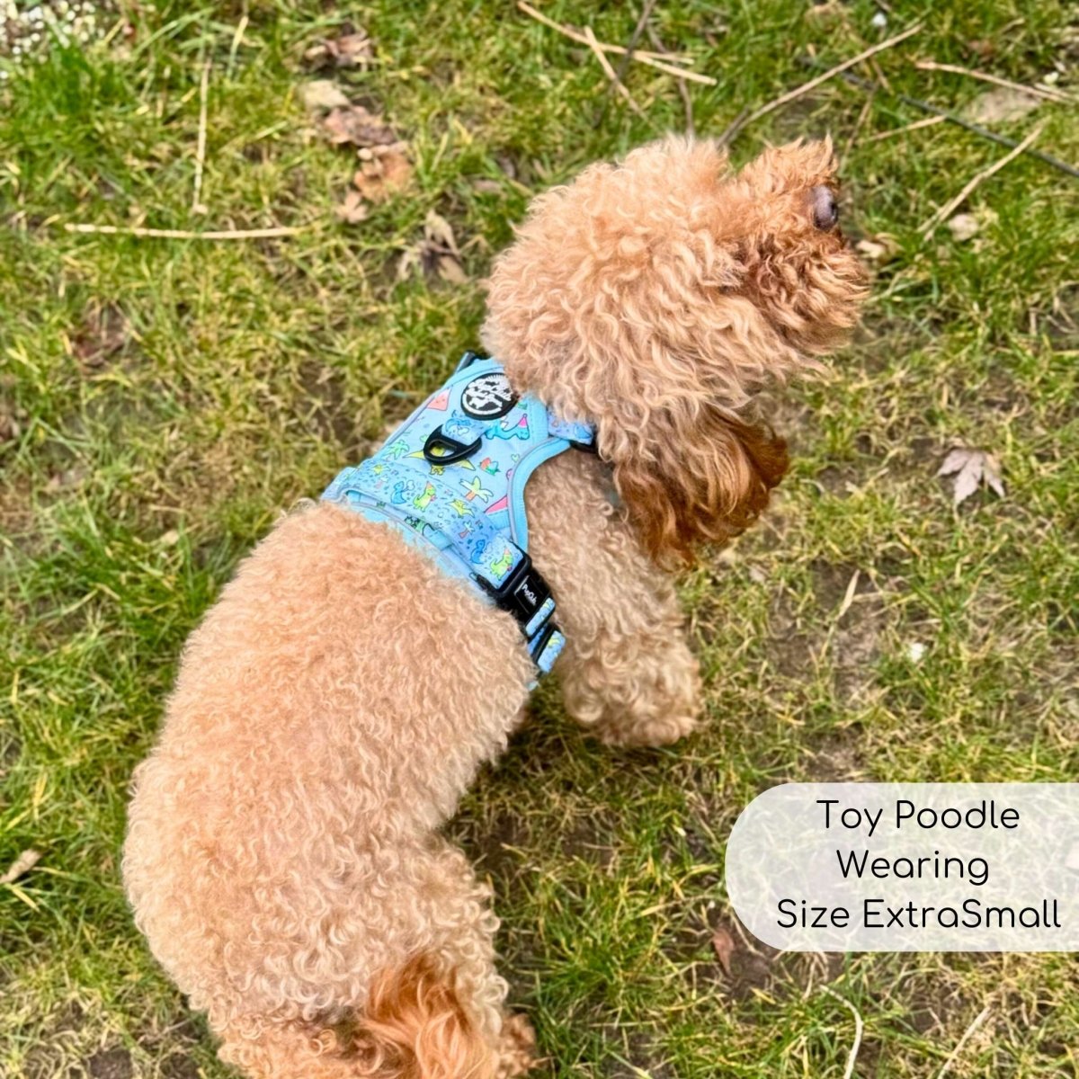 Rugged Rover™ No-Pull Dog Harness – Jurassic Party