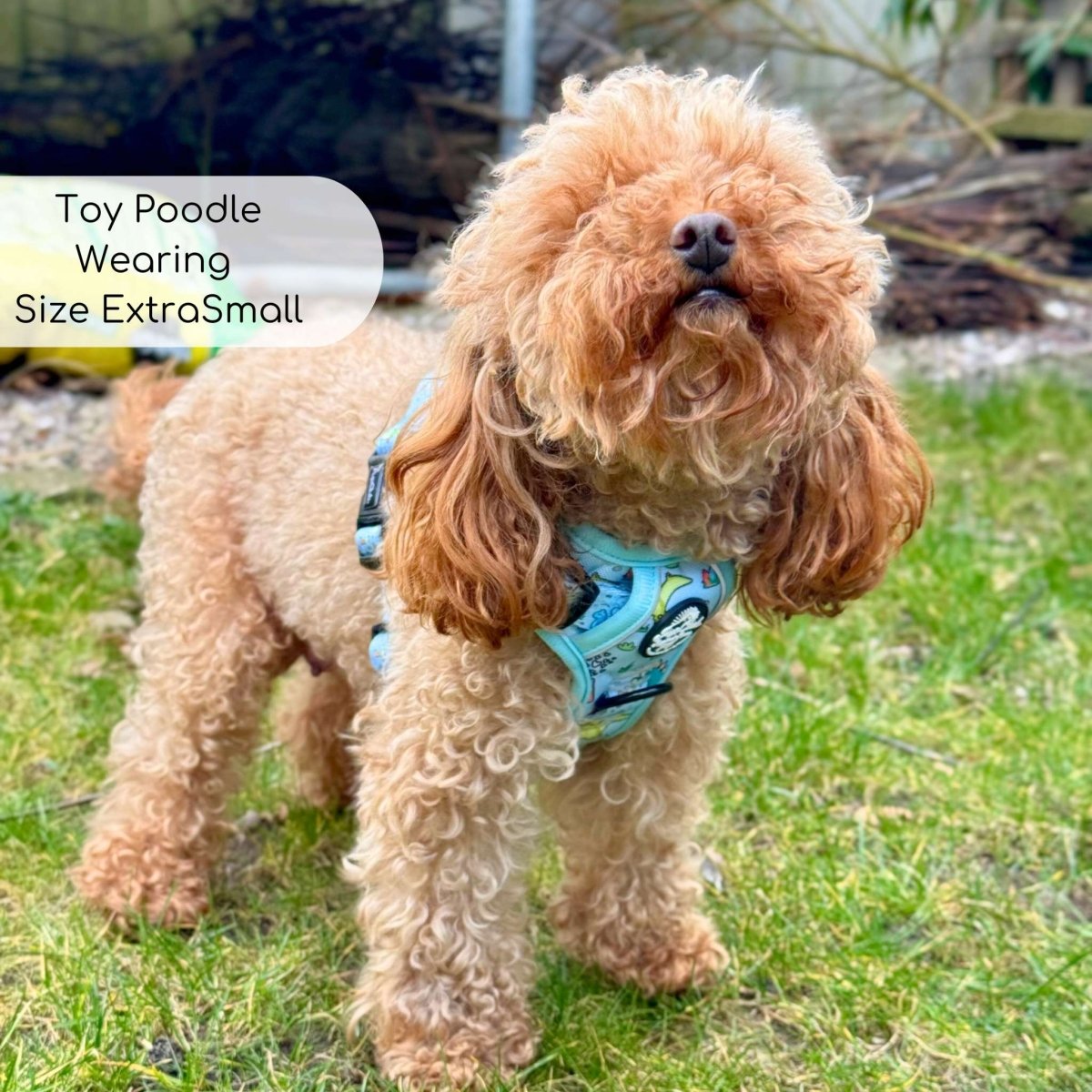 Rugged Rover™ No-Pull Dog Harness – Jurassic Party