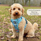 Rugged Rover™ No-Pull Dog Harness – Jurassic Party