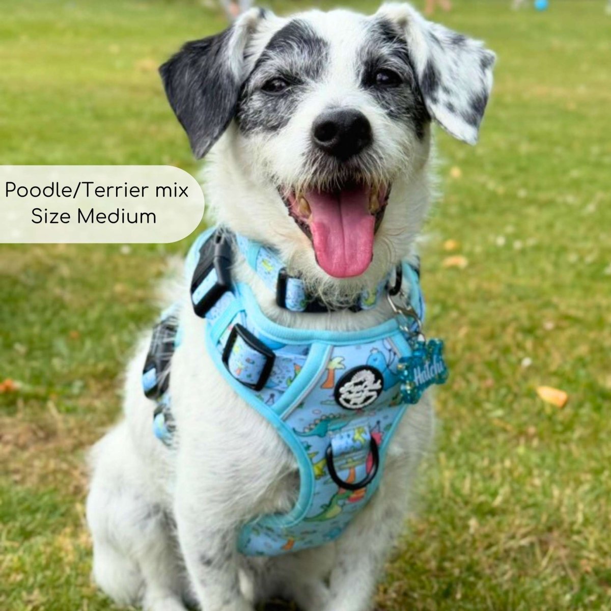 Rugged Rover™ No-Pull Dog Harness – Jurassic Party