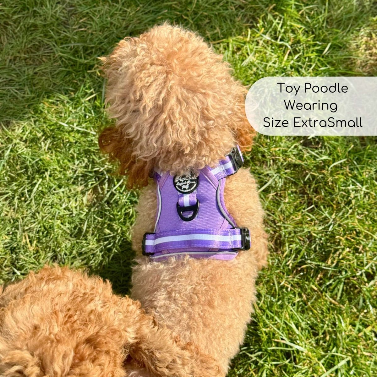 Rugged Rover™ No-Pull Dog Harness – Lilac Blush