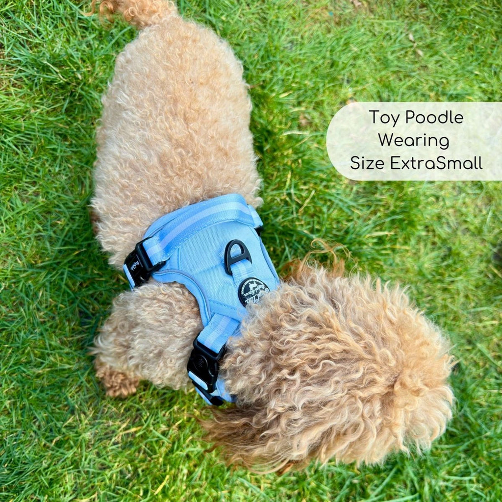 Rugged Rover™ No-Pull Dog Harness – Pastel Blue