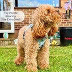 Rugged Rover™ No-Pull Dog Harness – Pastel Blue