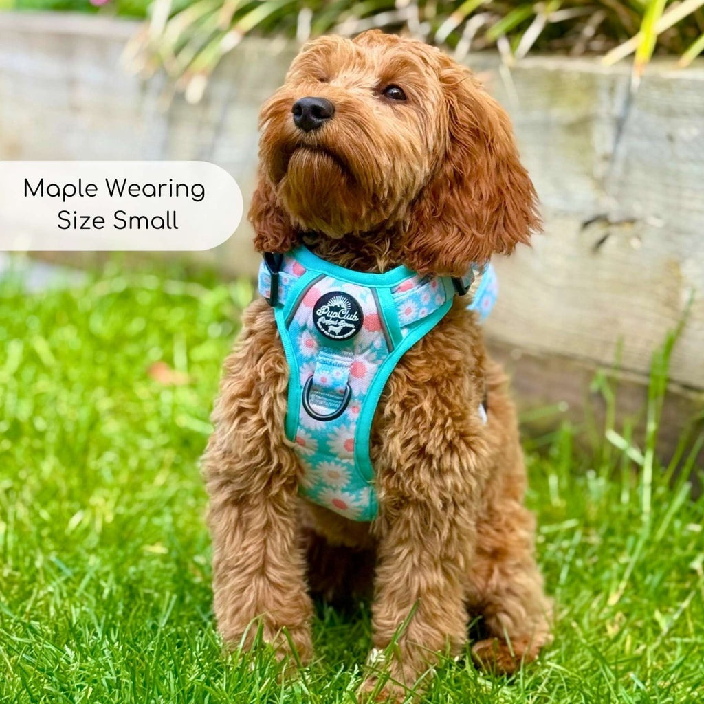 Rugged Rover™ No-Pull Dog Harness – Pastel Daisy