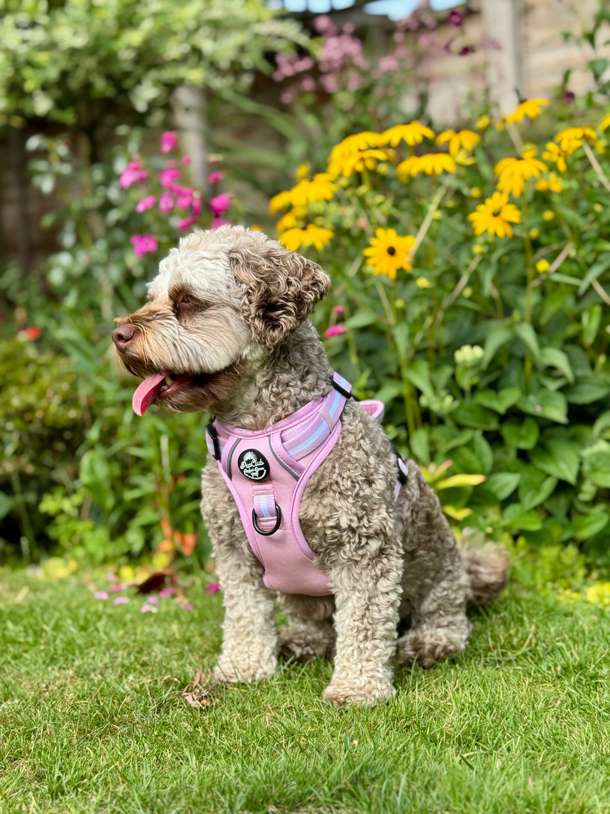Rugged Rover™ No-Pull Dog Harness – Pastel Pink