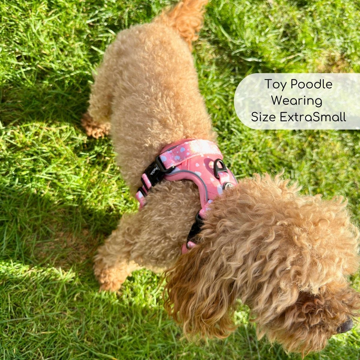 Rugged Rover™ No-Pull Dog Harness – Peachy Hearts