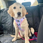 Rugged Rover™ No-Pull Dog Harness – Pink Tartan
