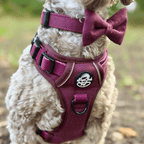 PupClub Dog Bow Tie – Berry Tweed