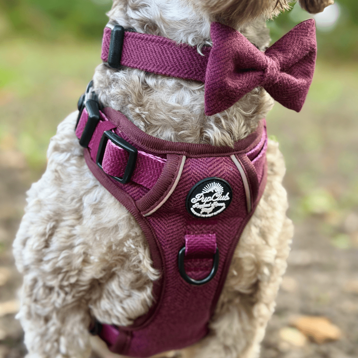 PupClub Dog Bow Tie – Berry Tweed