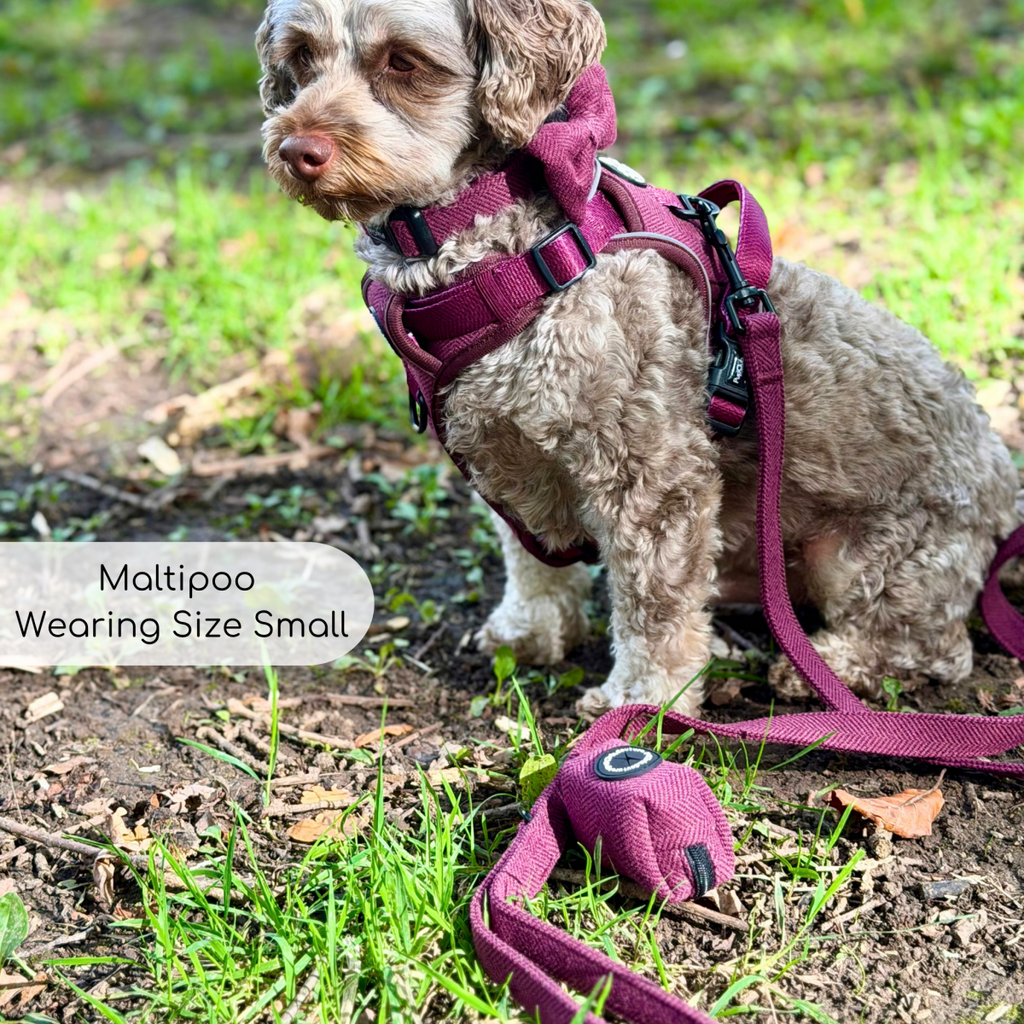 PupClub Dog Lead – Berry Tweed