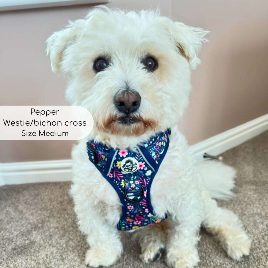 Rugged Rover™ No-Pull Dog Harness – Summer Meadow
