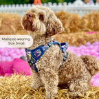 Rugged Rover™ No-Pull Dog Harness – Summer Meadow