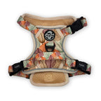 Rugged Rover™ No-Pull Dog Harness – Autumn Breeze