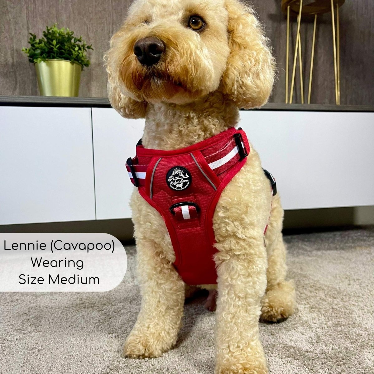 Rugged Rover™ No-Pull Dog Harness – Berry Red