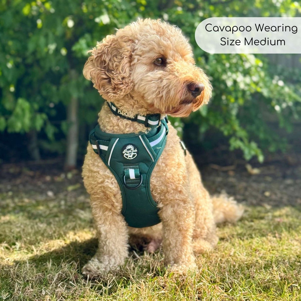 Rugged Rover™ No-Pull Dog Harness – Forest Green